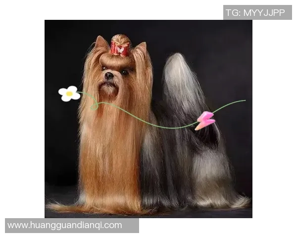 足球球星做鬼脸的背后故事与个性魅力揭秘